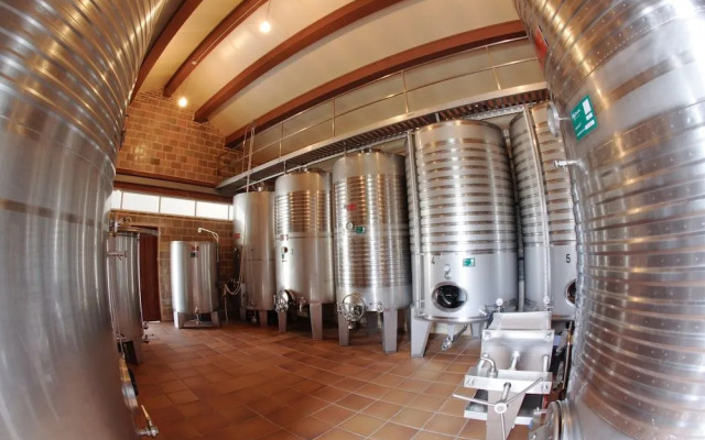 Enoturismo y Bodega Lagar de Costa