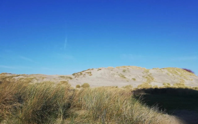 Joli appt cocooning au pied des dunes