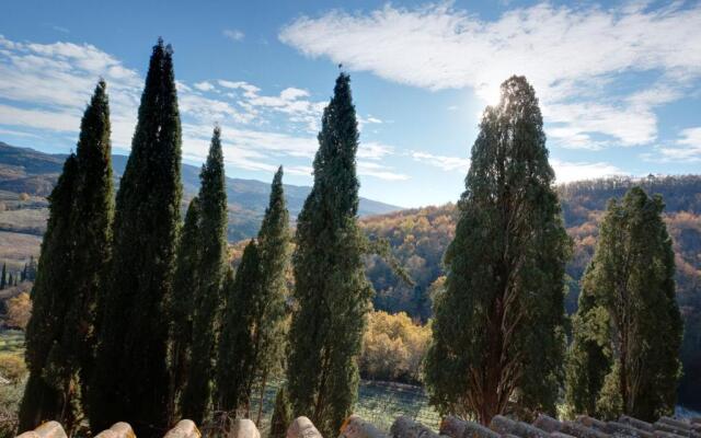 Terre di Baccio