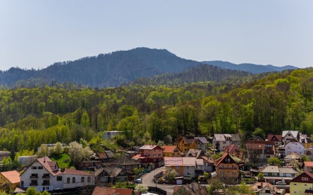 Mountain View Apartment