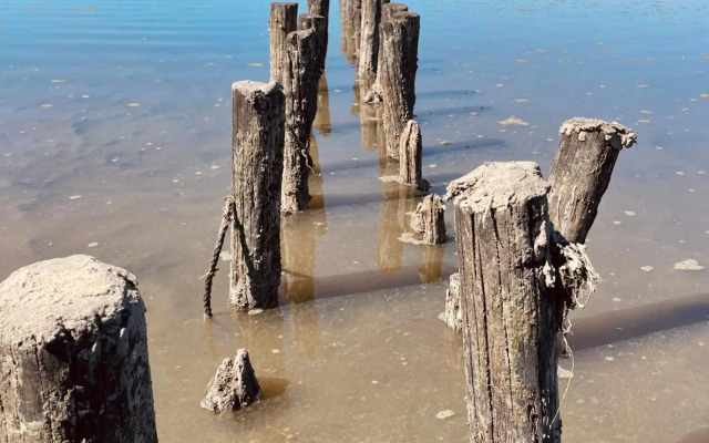 Ferienwohnung „Deichgeflüster“ nahe der Nordsee