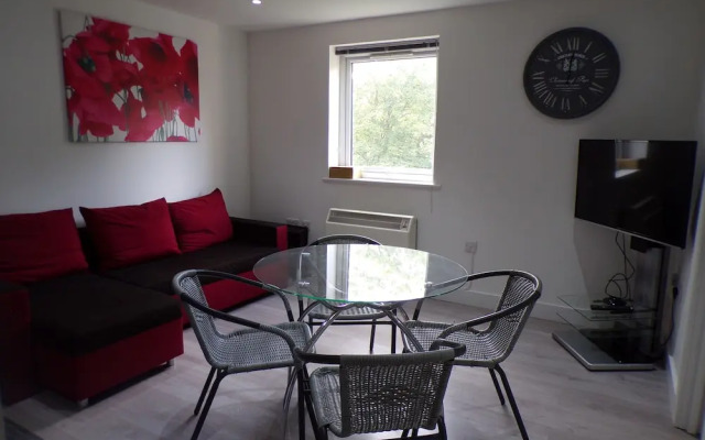 Lakeview Apartments and Rooms