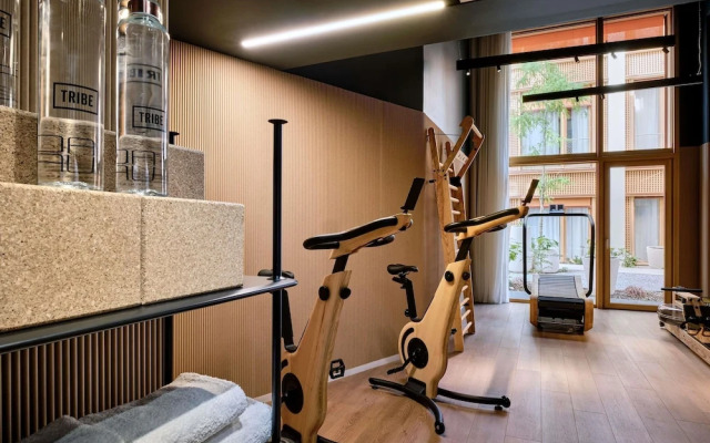 TRIBE Paris Pantin