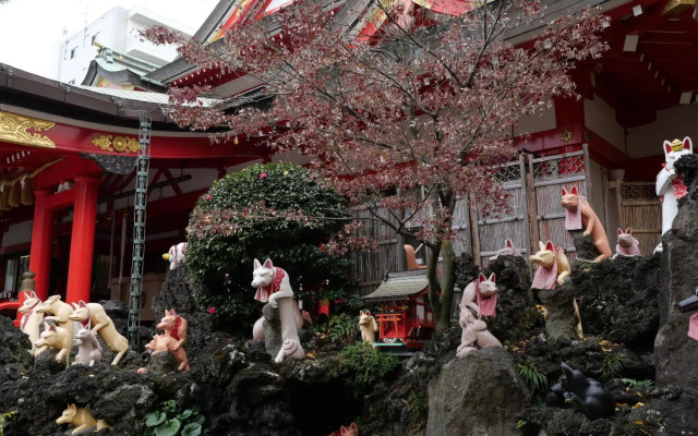 Jomontennen Onsen Shiraku No Yu