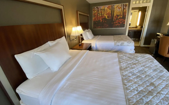 Cascades Inn - фото 5