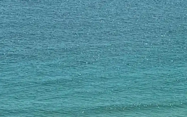 Donghae Oceancity Residence Hotel