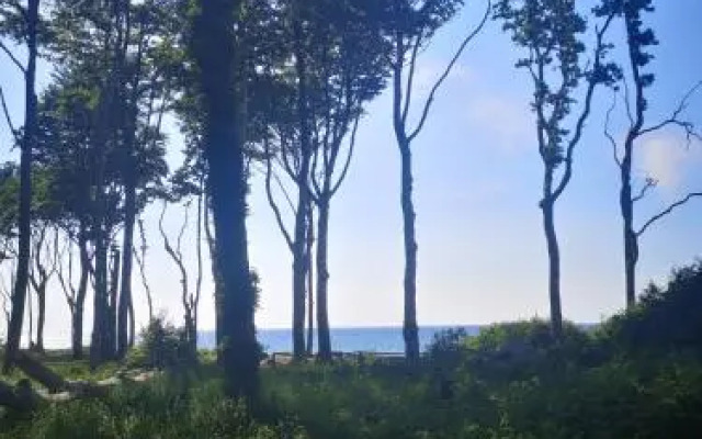 Pension Elmenhorst ***S