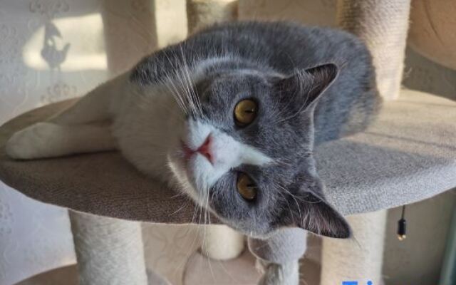 Coconut Wind and Banana Rain B&B