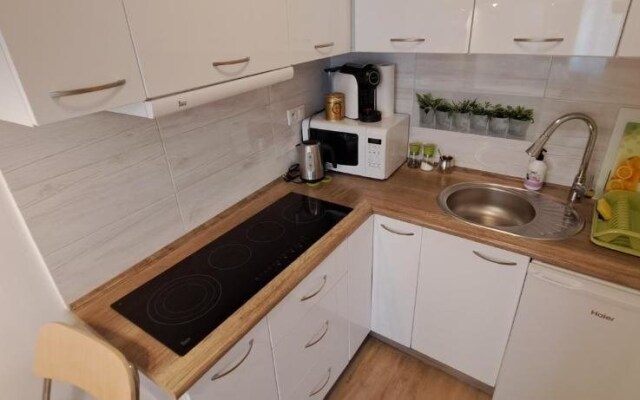 Apartamenty Kopernika