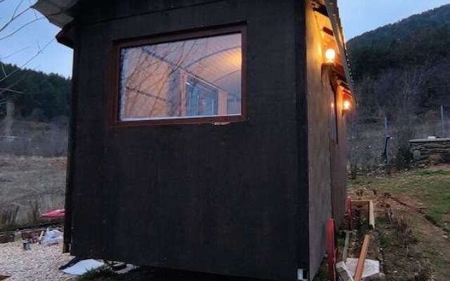 Torrhebia Dag Evi