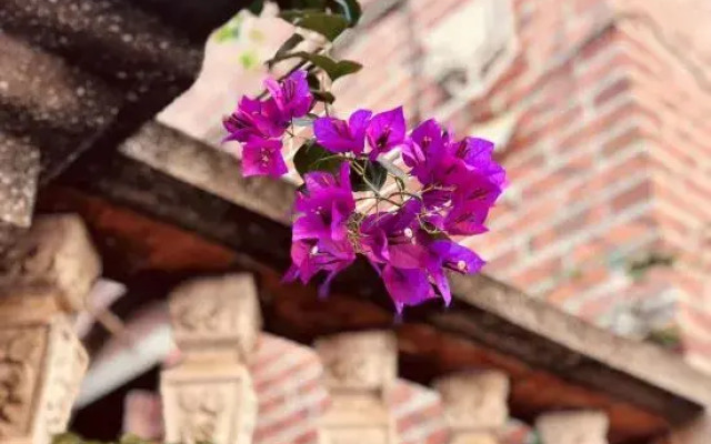 Gulangyu Four Seasons Flower Hotel (Sanqiutian Wharf)
