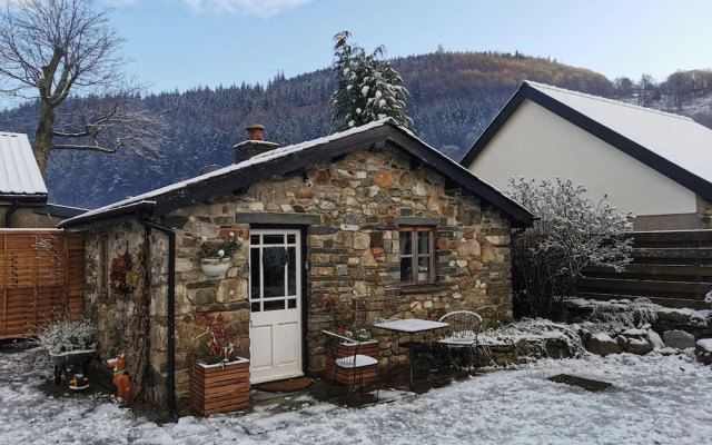 Dolweunydd Bed & Breakfast