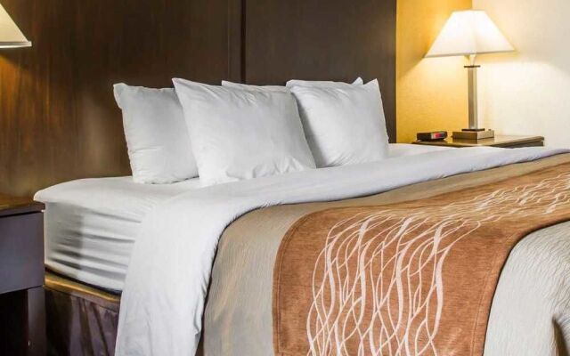 Comfort Inn