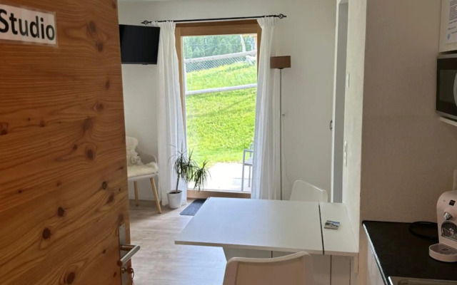 Kleines aber feines Studio Ski in Ski out