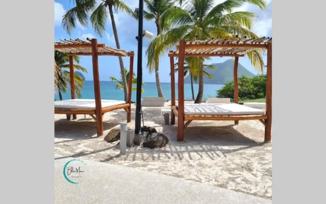 Blue Mine Home Studio