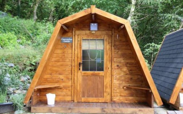 Bryn Dinas Camping Pods Ltd.
