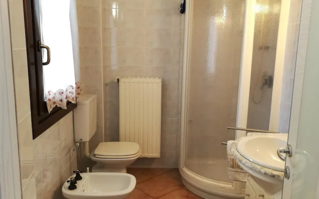Le Cicogne