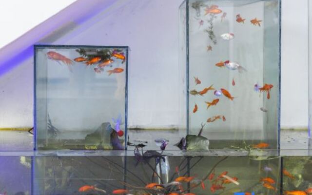 Xingyuxinyuan Lake View Holiday Hotel