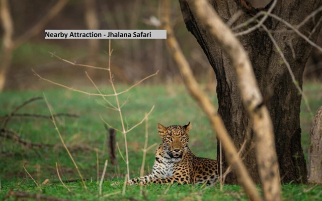 Urban Ville by OYO Rooms