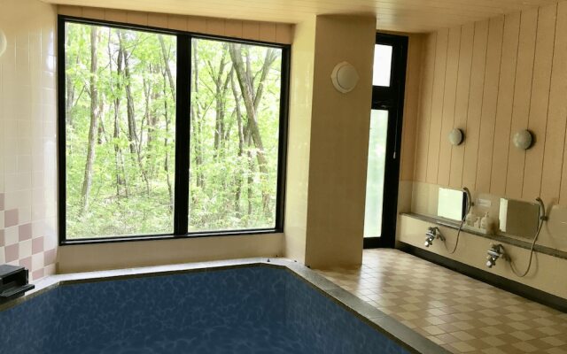 Hotel Wadano No Mori In Hakuba