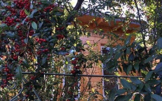 La cabane Romantique et sa balneotherapie