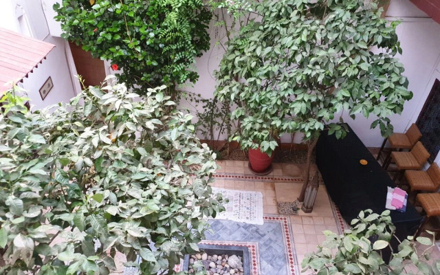 Riad Neela