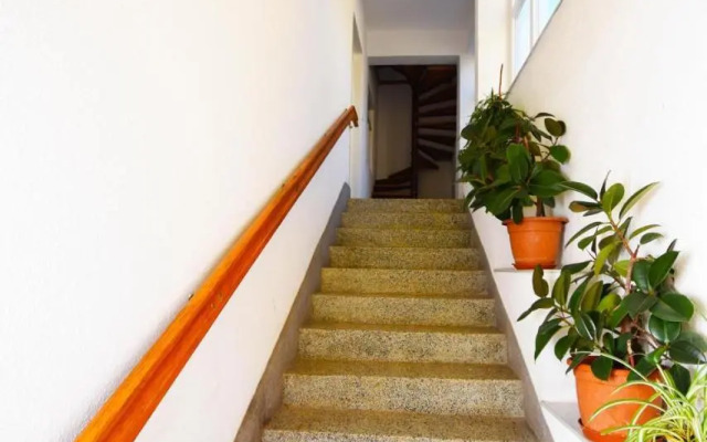 Apartment Škeva