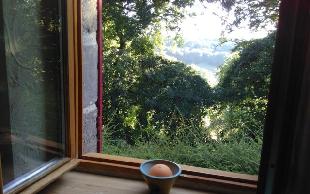 Le Champ Des Etoiles