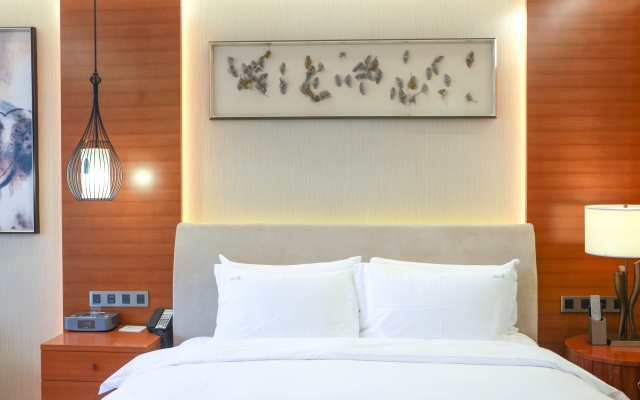 Holiday Inn Nanjing Xuanwu Lake by IHG – Guest Rooms – Nanjing