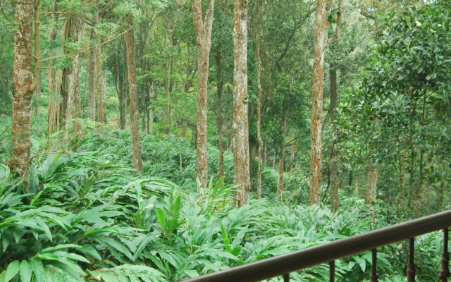 Green Spaces Munnar