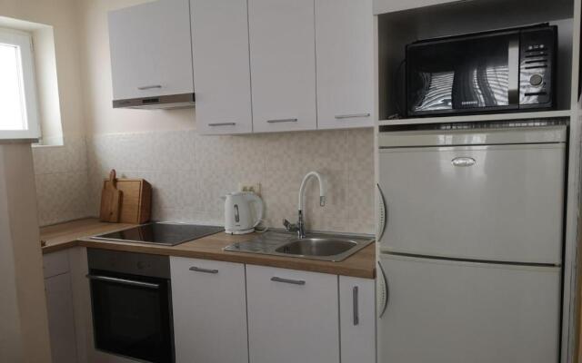 Apartment Nika