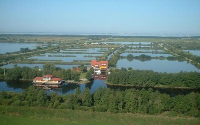 Mėlynojo karpio namas