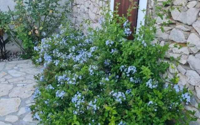 Home With Swimming Pool & Outdoor Kitchen