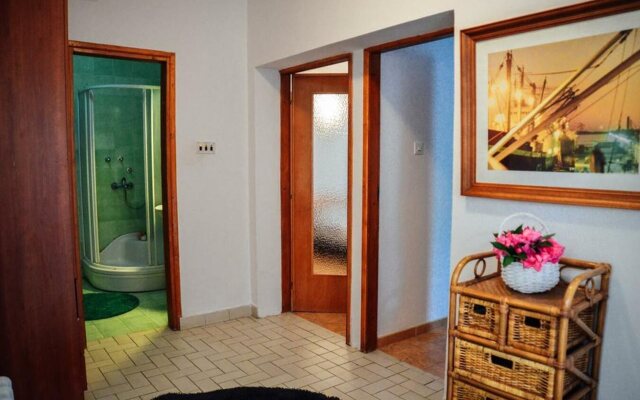 Waterfront Apartment Petrovina