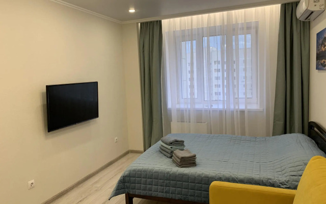 Леонардо на Академика Лаврентьева