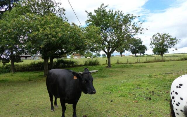 Gîte Saligny-sur-Roudon, 3 pièces, 5 personnes - FR-1-489-121