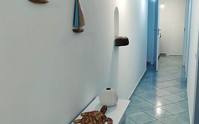 B&B Mediterranea