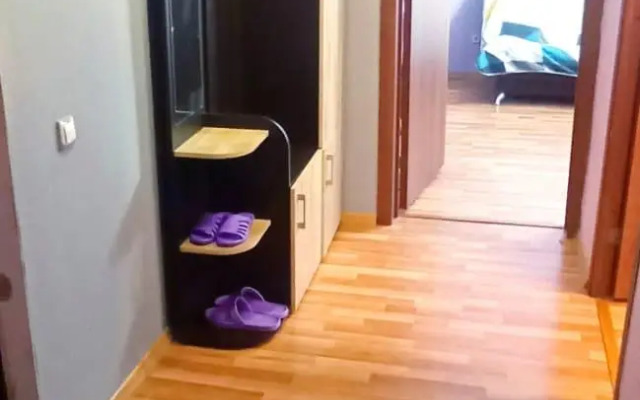Apartments on Kuryzhova street 5k1