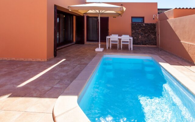 Anahi Home Dracaena 2