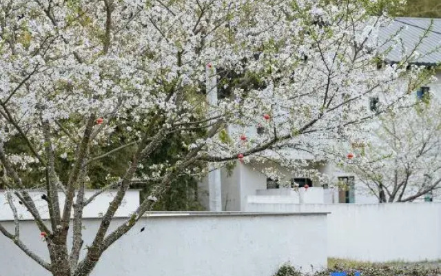 Tingjian Mount Mogan luxury design hostel