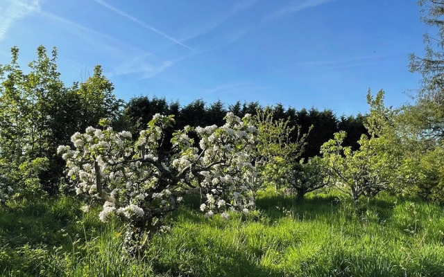 Tranquil Luxury Glamping Escape in Ross-on-wye 8