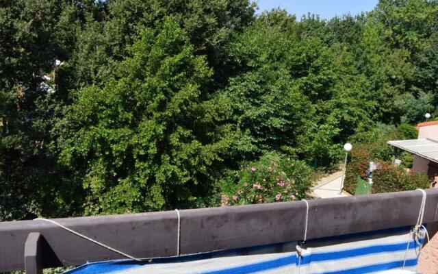 Appartement Argelès-sur-Mer, 1 pièce, 4 personnes - FR-1-225-608