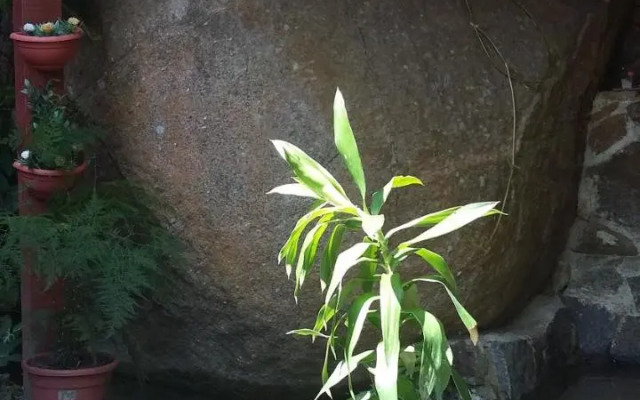 Pousada Mãe Natureza Ilha Grande