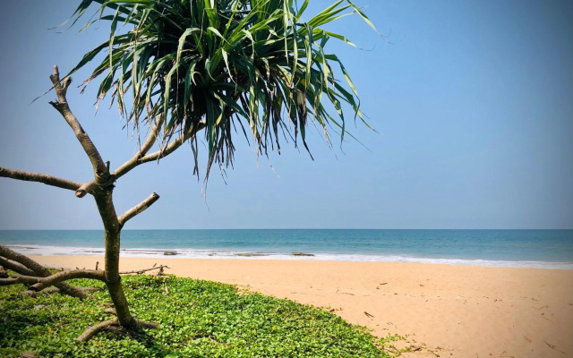 Gypsy Garden Guesthouse