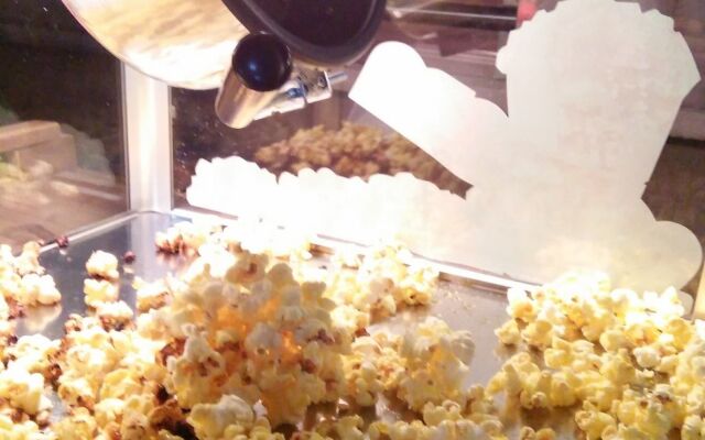 DesaTebrau NewStar Homestay - Wedding Bridal House