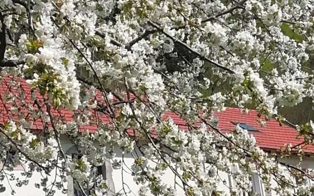 La mansarde aux digitales