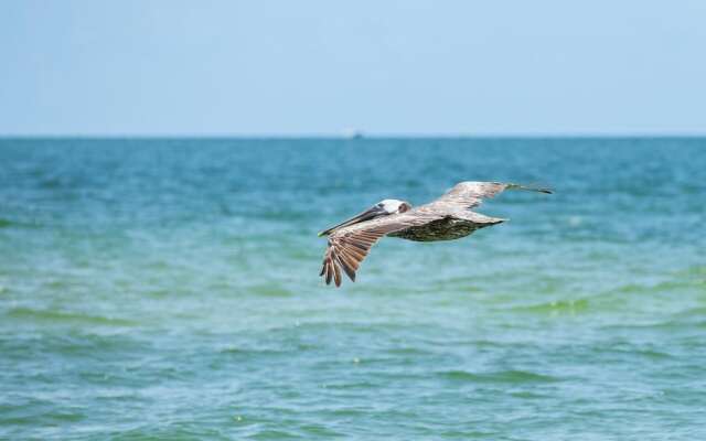 Sardinia Vacation Rental