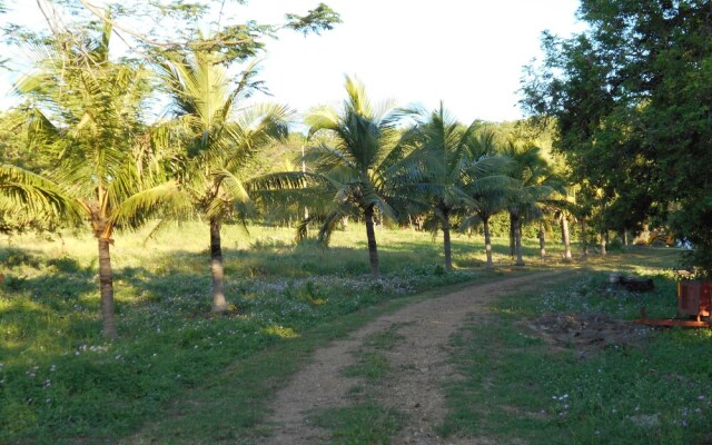 Jardines del Paraiso