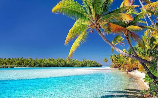 San Blas Private Sailboat - Island Hopping