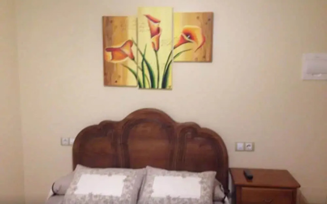 Hostal Tribal